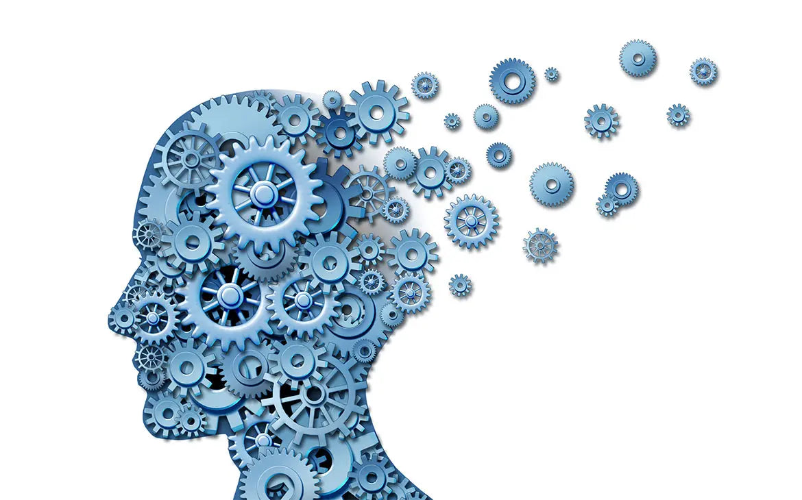 כיצד שינה משפיעה על הזיכרון?