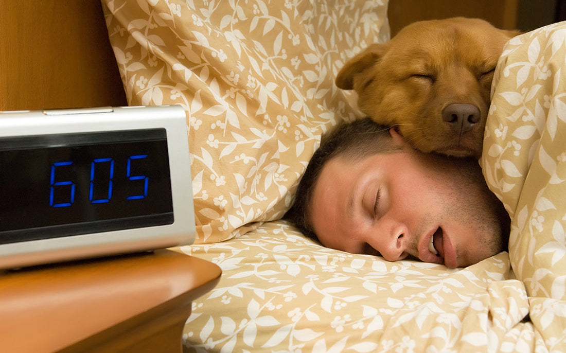 שינה עמוקה – אם לא הגעתם לשלב הזה בשינה, אתם בבעיה