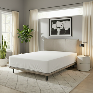 מגן מזרן | Basic Protector